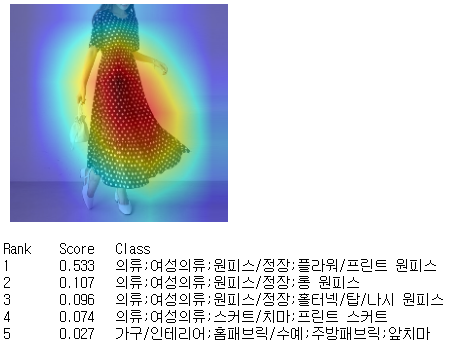 [그림 5] 이미지 분류 모델의 예측 결과와 CAM 예시